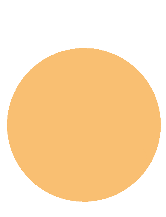 d1c68619a507e83