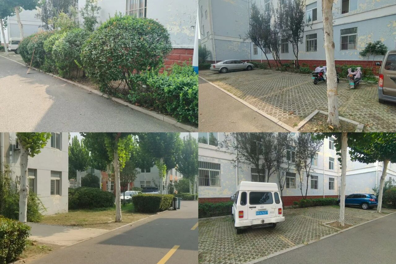 【鲁南电商】共建美丽园区，我们在行动！1