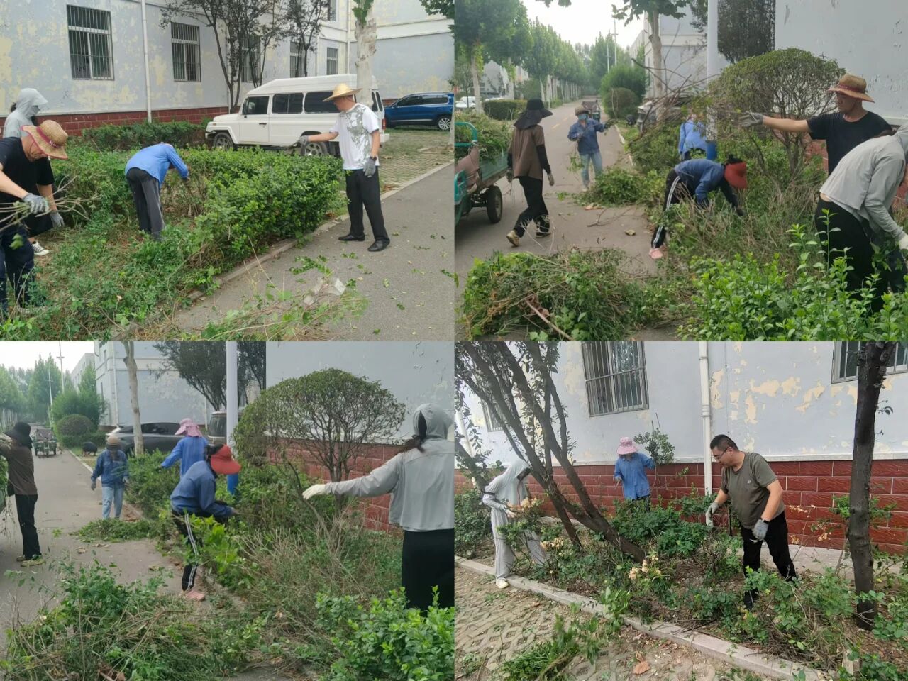 【鲁南电商】共建美丽园区，我们在行动！